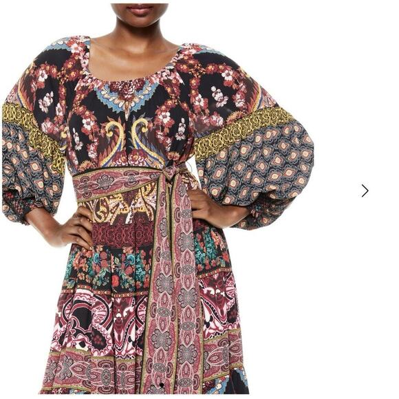 Alice + Olivia Clementina Tiered Maxi Dress Spellbound Multi Size 2 Boho Paisley - Picture 10 of 15